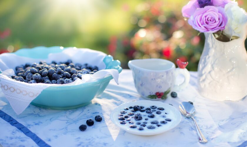Blueberries Are Good For You