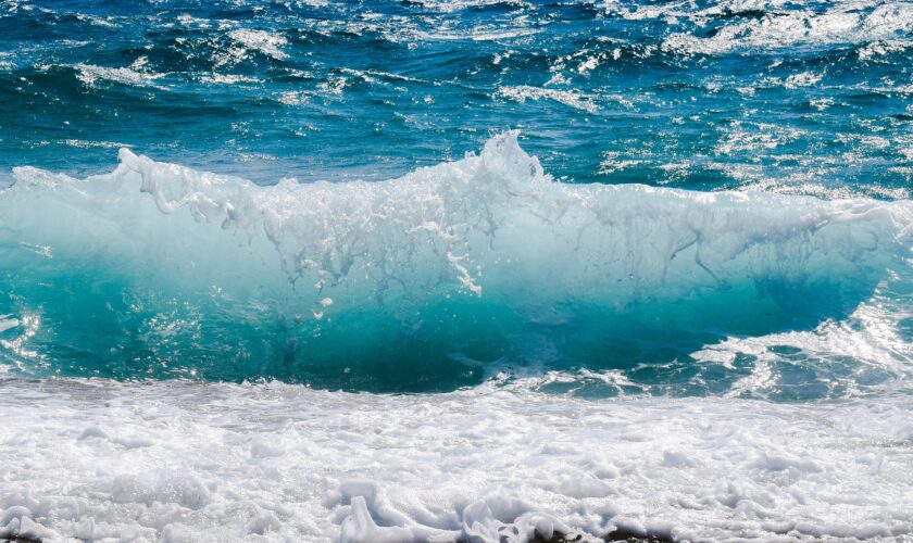 Waves, Sand, and Sun!